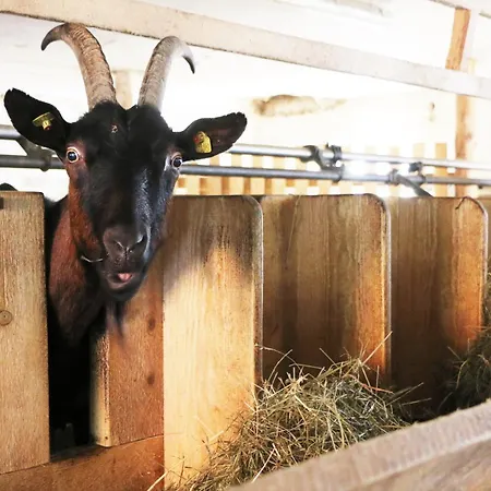 Ubytování v soukromí Bio Archehof Zachhiesen - & Relax *