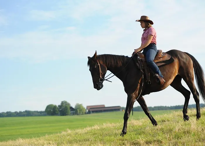 Bio Archehof Zachhiesen - & Relax * Seekirchen am Wallersee